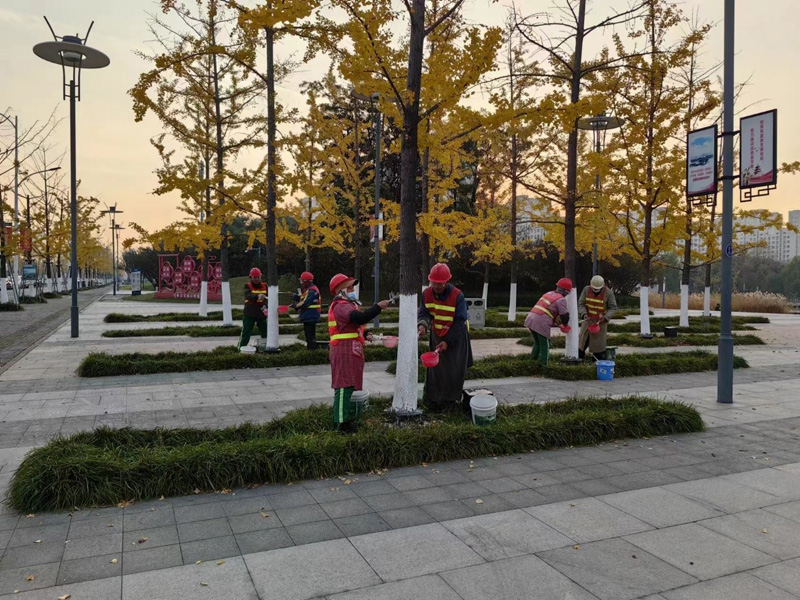 111.jpg